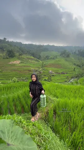 Dasternya motif salur black yah bunda #rismanirmalasari #gadisdesa #suasanapedesaan #dasterpanjang #dastercantik 