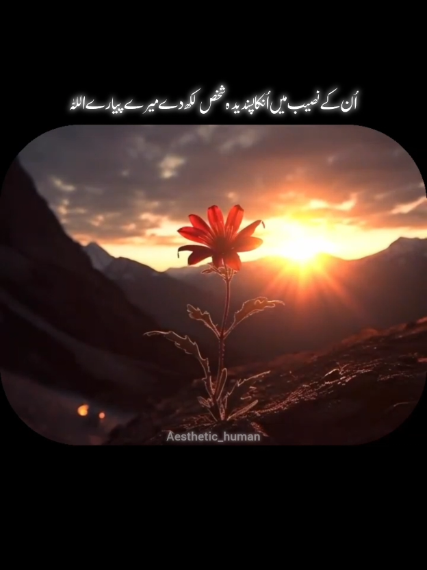 aameen..🥹🤲🏻#motivation #motivationalvideo #lifehacks #viral #aesthetic_human 