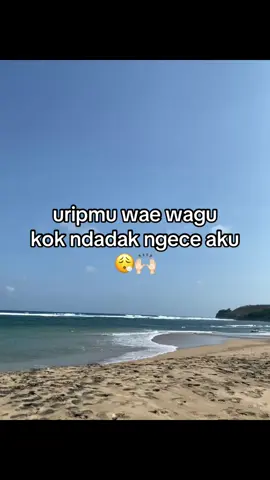 wkwk