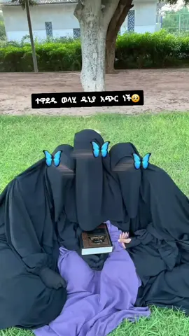 #🥺 #የኔወቹ @💙𝕫𝕦𝕫𝕦  ህልመኛዋ✨🧕🦋🇪🇹 @𝐑𝐢𝐜𝐡 𝐐𝐮𝐞𝐞𝐧👸 @ሀልሚ🫶ያባቷ ልጅ❤‍🩹ታማኟ👸🔐 #🥺 