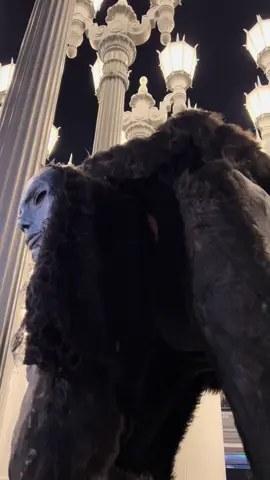 Wraithwalker is an epic costume #spiritwalker #wraithwalker