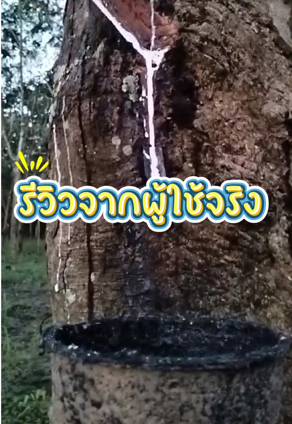 มาดูคำรีวิวจากผู้ใช้จริง 