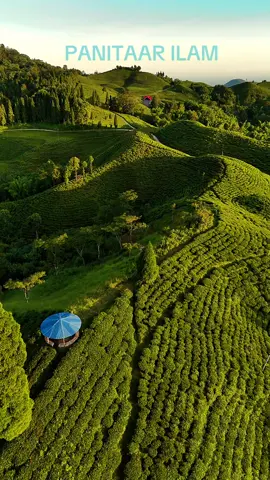 Panitaar Ilam ko sundar drisya ❤️❤️ #foryoupage #drone #fyp #drone #viral 