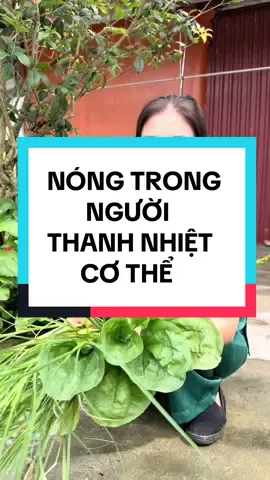Nóng Trong Người - Thanh Nhiệt Cơ Thể Tại Nhà  #chamsocsuckhoechudong #luongkimhoan #canxihuuco #viral #xuhuongtiktok2025 