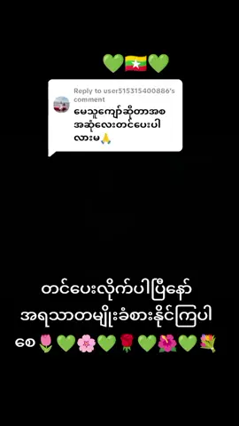 Replying to @user515315400886#ခံစားနားဆင်နိုင်ပါပြီနော်🌷🌷🌷🌷🌷🌷🌷 #အားလုံးကိုချစ်ပါတယ်ရှင့်💚💚💚💚💚💚💚💚 #💚💚💚nyein💚💚💚 