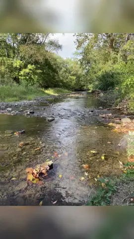 A much needed adventure today 💕 #MomsofTikTok #adventure #LIVEIncentiveProgram #JustGoLIVE #PaidPartnership 