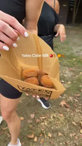 had a fun, wholesome, spooky cider mill halloween day with my besties and some animals 🥹🍂🎃💀 #yatescidermill #cidermill #thingstodoinmichigan #fall #halloween 