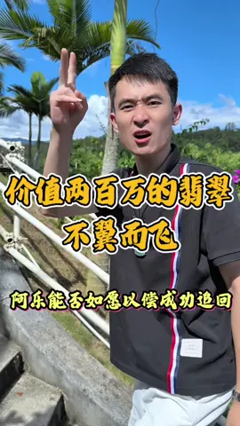 价值两百万的翡翠不翼而飞，阿乐能否如愿以偿成功追回！#翡翠 #翡翠手镯 #珠宝 #热点 