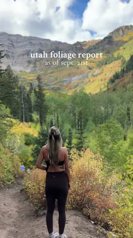 these views never get old 🤍🍂 #sundanceutah #utahfoliage #fall #utah 