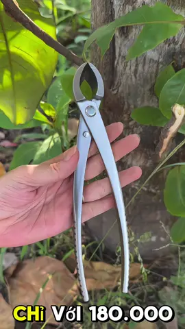 Kìm cạp cây cảnh bonsai được làm từ thép trắng đúc nguyên khối, siêu bén #kimcap #kimcapxeo #bonsai #caycanh #xuhuong 