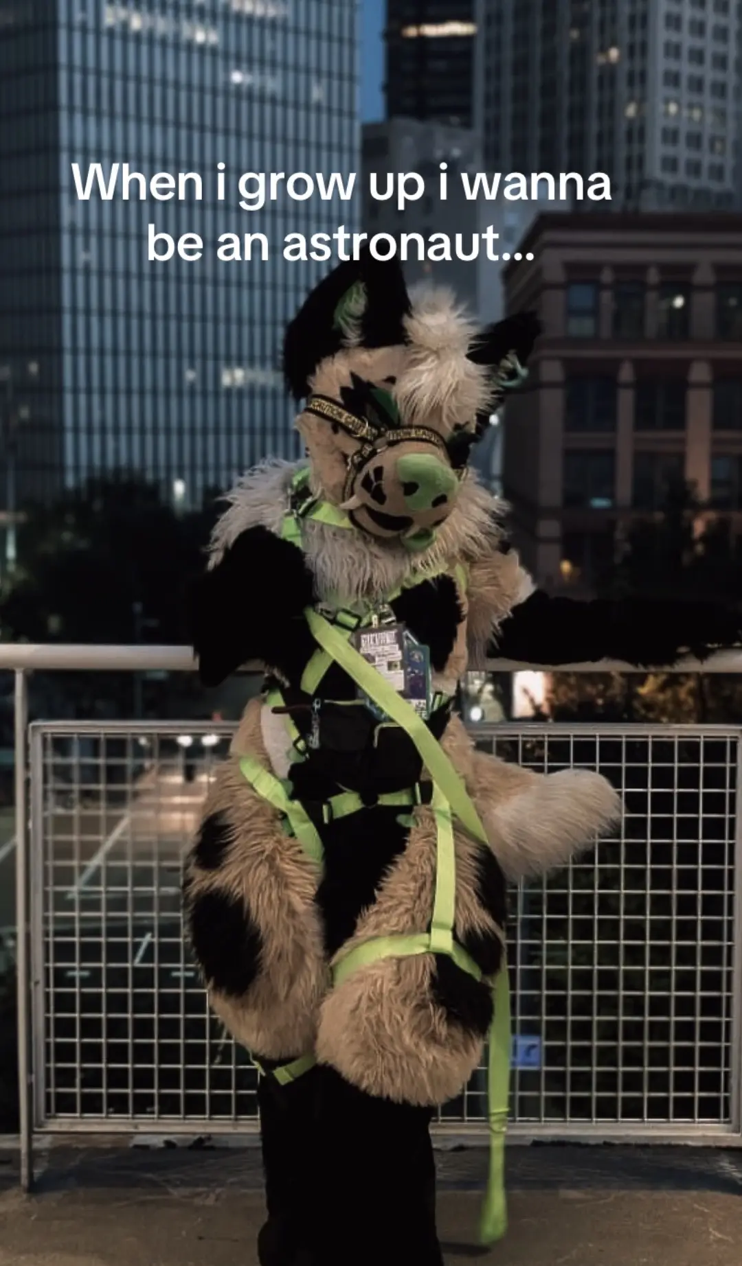 #furry #forgivemefather #forgivememother #tacobell #donteatdirt  