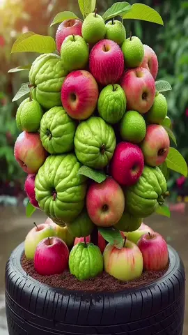 Harvest guavas and apples on a wonderful tree using new grafting #shorts #satisfying #usa  #viralvideo #foryoupage 