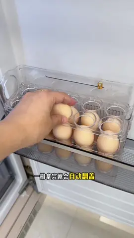 好物推荐—-冰箱侧门自动翻盖鸡蛋收纳盒#热门 #发现 #好物 #好物分享 #日常生活 