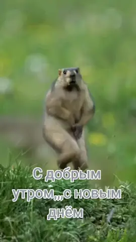 #Алена #☕☕😉🤗🥰✌️#