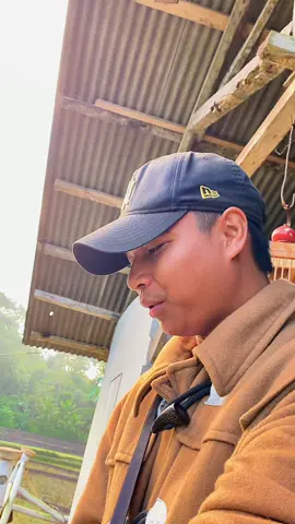 Lucu tangkal cau na nya 