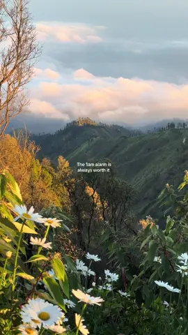 Mark my words on this! #sunrise #mountbromo #fypシ゚ #travellife #traveltok 