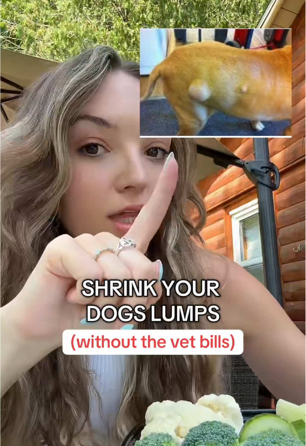 You need this for your lumpy dog. #fifthandfido #turkeytail #dogsupplement 