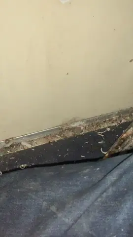 Ran into more wood rot on the boat. #boats#projects#fyp