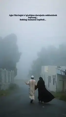 🤎💙🖤❤️🕊️🕊️🕊️🌊🌊☝🏻☝🏻😊😊