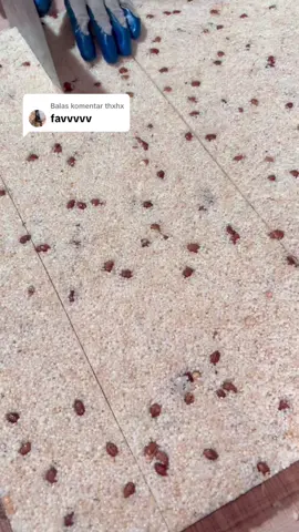 Membalas @thxhx kalo ini favv kamu jangan lupa chekoutnya pas mimin live ya#fyppppppppppppppppppppppp #kueberas #viraltiktok #kuehjadul #newproduct 
