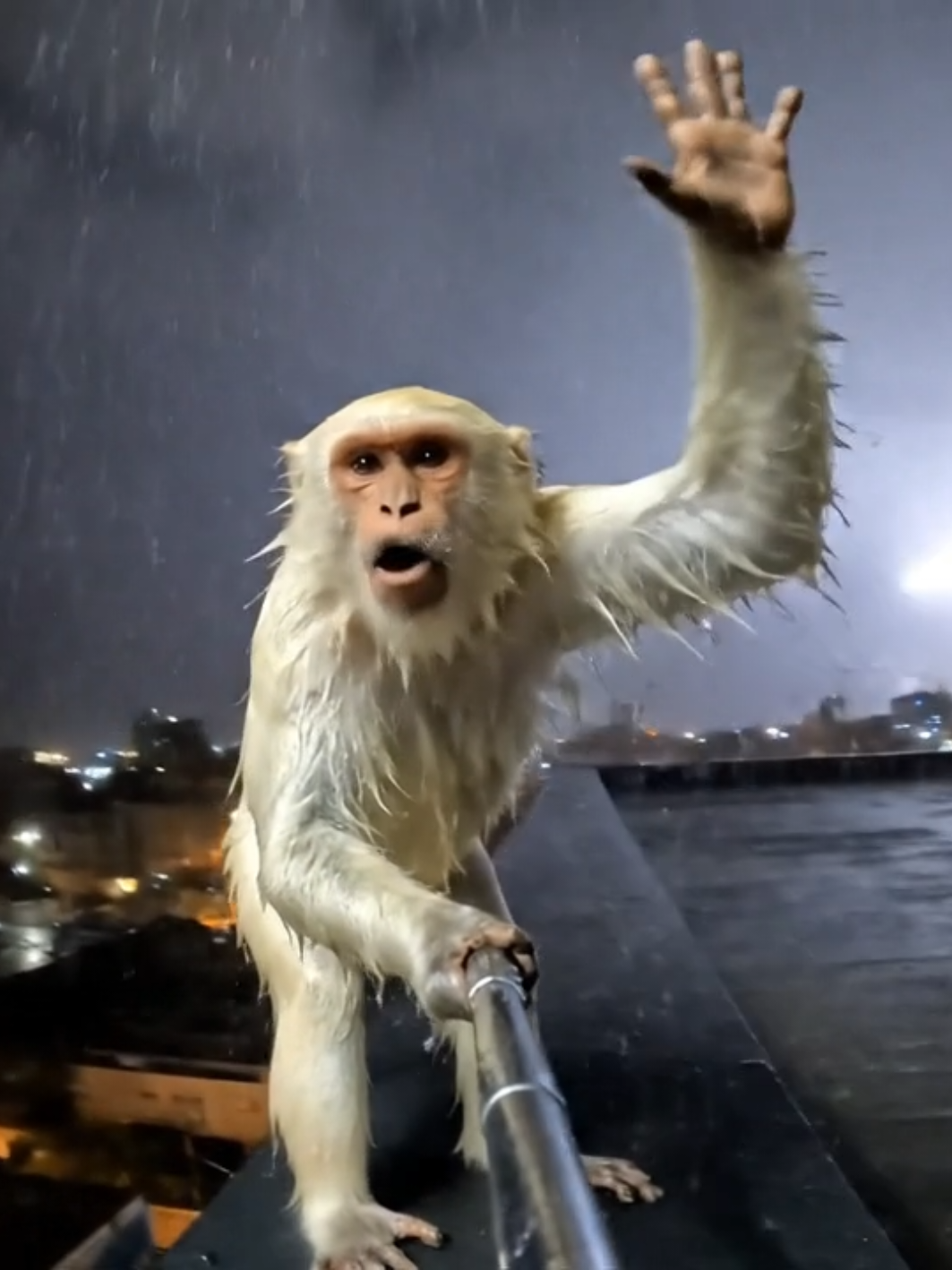 #ai #العراق #الذكاء_الاصطناعي #fyp #foryou اليوم مطرت حالوس بالناصريه 😂😂