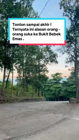 Bukit bebek emas menawarkan sejuta keindahan alam . Terdapat cafe di atas puncak mampu menemani mu menikmati pemandangan yg ada . #bukitbebekemasbabel #wistaalam #fyp #salaminteraksi🙏 #panggilanalam 