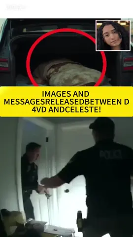 Body found in D4vd’s car has been identified as 15 year old missing girl. 💔 #d4vd #crime #tesla #celesterivas #greenscreen 