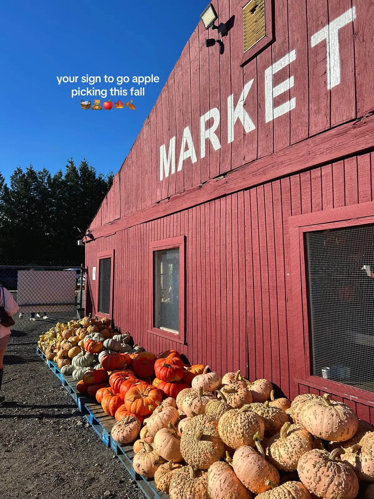 #applepicking #fall #fallaesthetic #fyp