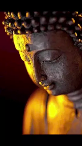 🪷🙏🏽 NAM MÔ BỔN SƯ THÍCH CA MÂU NI PHẬT🙏🏽🪷 #phat  #phatphapvobien  #giacngo  #binhan  #xuhuong 