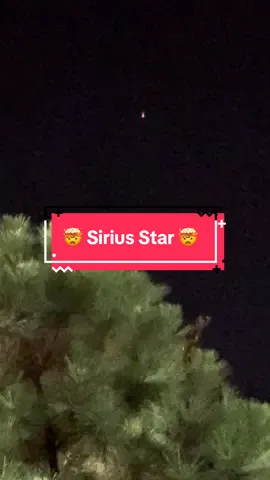 We need to start paying attention to the night sky more 🌠  this was a dope experience right here .. I feel lucky !! 🌌🌌🌌 #sirius #siriusstar #stars #nightsky #night 