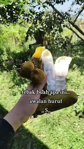 buah apa ini #fyppppppppppppppppppppppp 