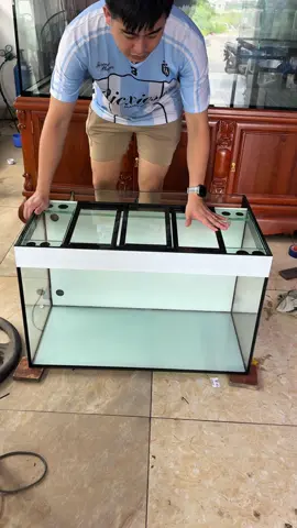 Bộ bể lọc vách kèm nắp đậy kính #donganhaqua #hoangca #beca #becacanh #cacanh 