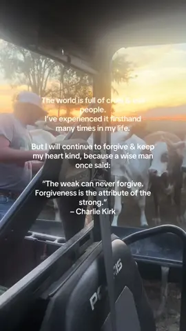 the bull calf in the front was born on my birthday, so he’s named after me now lol