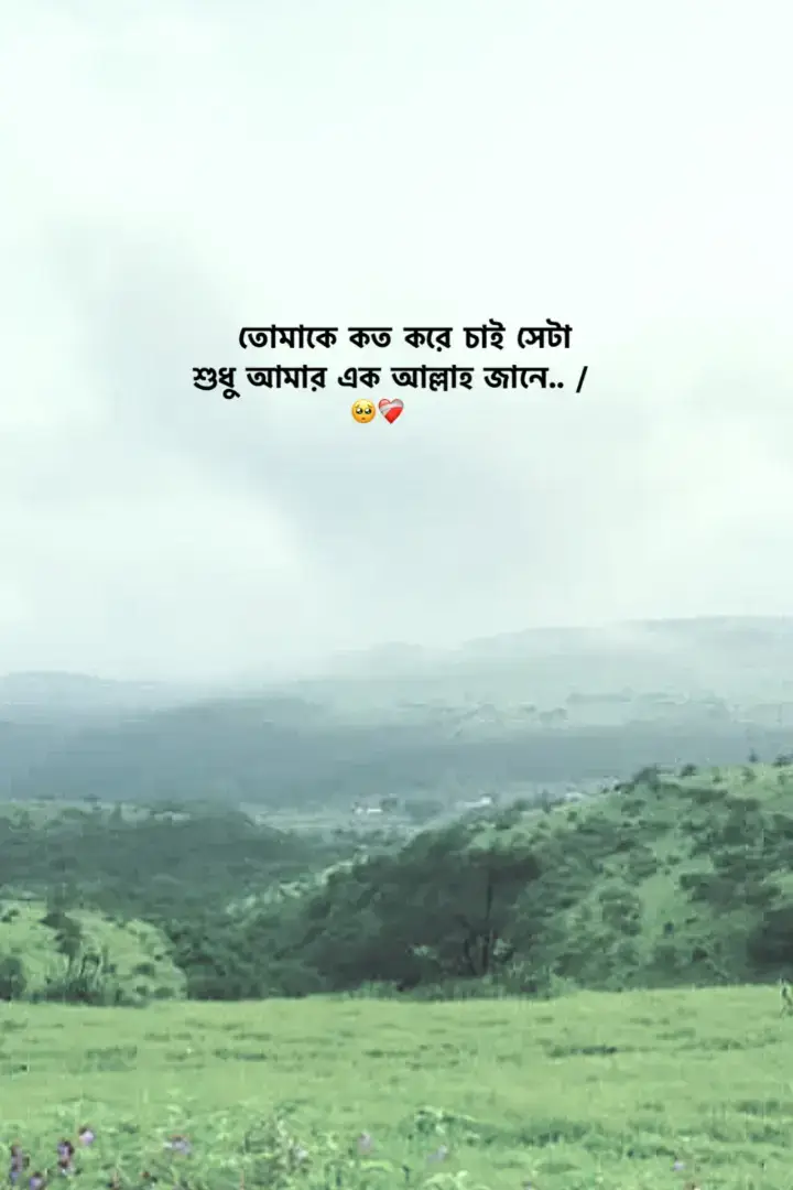 🥺❤️‍🩹/-#outfit cowok berwarna #fyp