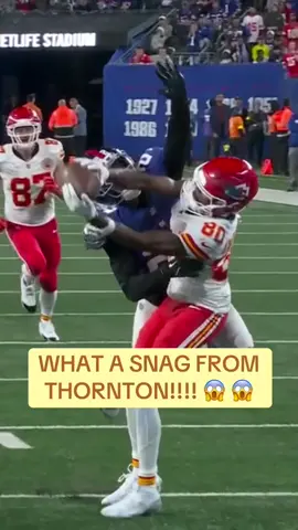 Tyquan Thornton reels in the insane catch before Kareem Hunt bullies his way through for the Chiefs TD! #tyquanthornton #kansascitychiefs #nfl #espn #fyp 