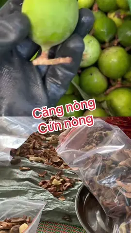 #muongthanh #khachsan #matxa #thanlanbamkinh 