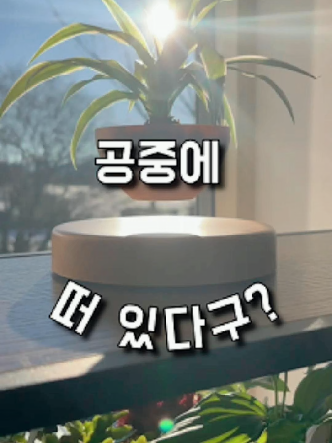 ✨프로필 구매링크 49번 보시면 구매가능해요! 대체 어떻게 떠 있는 거야…🤯 “그냥 식물인 줄 알았는데… 공중에 떠서 계속 회전해요. 감성 + 과학 = 미쳤다 진짜. #공중화분 #자기부상화분 #틱톡핫템 #집꾸미기 #인테리어소품   #감성템 #신기한아이템 #tiktokkorea #트렌드템 #감성인테리어