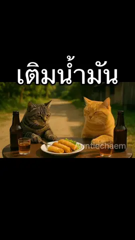 #แมว #fyp #ส้มลาย #แมวอ้วน #ai 
