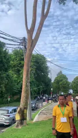 Bismillah aja dulu … 🤲🏻🤲🏻🤲🏻🤲🏻🤲🏻