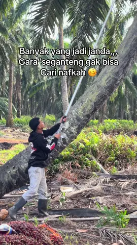#tiktoksawits🌴 #jadijandagaktuh#wkwkwkwkwkwkwkwkwkwkwkwk #fyp?fypシ 