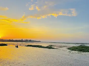 আমি নিজেই দোষী