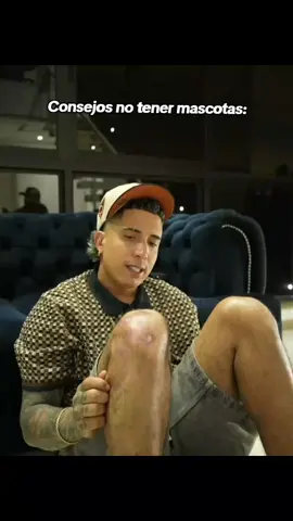 No tener nunca mascotas Mrstiven@MrStivenTc #mrstiventc1977 