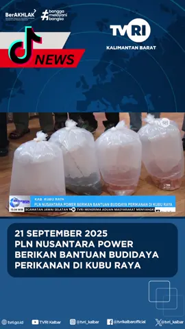 21 SEPTEMBER 2025 PLN NUSANTARA POWER BERIKAN BANTUAN BUDIDAYA PERIKANAN DI KUBU RAYA #tvri #mediapemersatubangsa #news #tvrikalbar #kalimantanbarat #mediapemersatubangsa🤟 #fypシ゚viral #fypシ゚ #kalbar #kuburaya