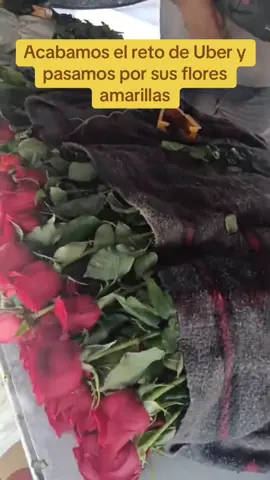 Tuvimos que chambear para comprar esto 💪🏻🫶🏻.          #floresamarillas #flores #mujeres #familia #niñas #fyp #viral #floresamarillas🌻 