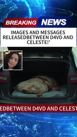 IMAGESANDMESSAGESRELEASEDBETWEEND4VDANDCELESTE!'#news#fyp#usa#foryou#tiktok