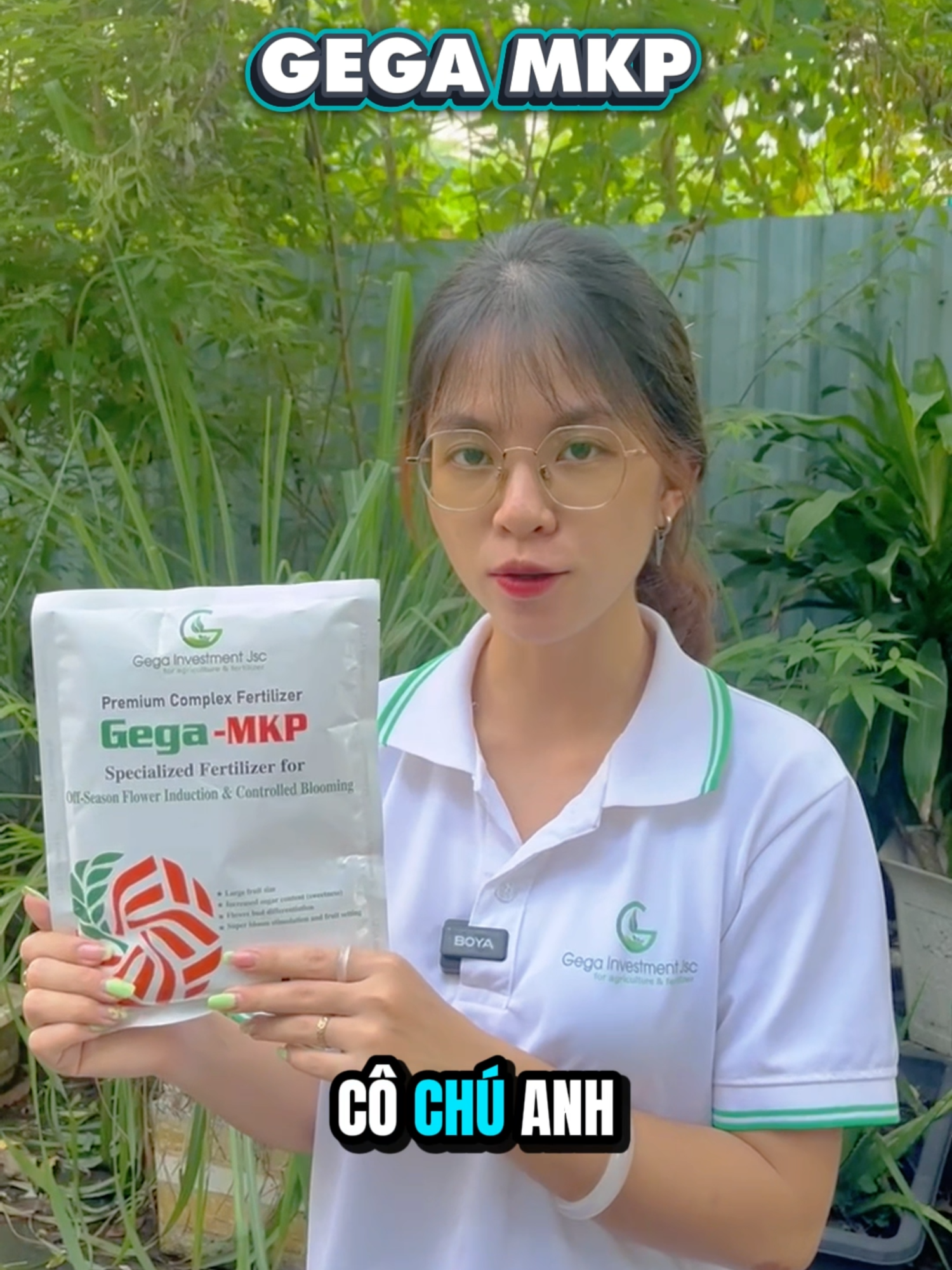 MKP (Mono Potassium Phosphate) là phân bón chuyên biệt với hàm lượng lân (P) và kali (K) cao, giúp cây ăn trái chuyển đổi mạnh mẽ từ giai đoạn sinh trưởng sang sinh sản. Sản phẩm này giúp phân hóa mầm hoa nhanh, kích thích cây ra hoa đồng loạt, tăng tỉ lệ đậu trái và hạn chế rụng hoa, rụng trái non. Nhờ độ tan cao, MKP rất hiệu quả khi phun qua lá, giúp cây hấp thu nhanh chóng. #mkp #phunquala #chongrunghoa #phanbonchuyenhoa #nongnghiepxanhgega #phanbongega