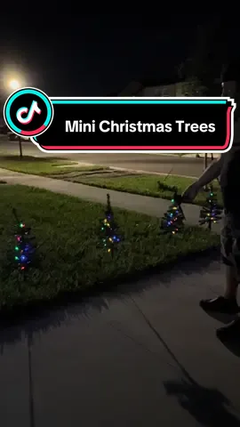 These mini Christmas trees come with solar lights and look soo cute! #christmastree #christmasdecor #christmasdecorating #christmasdecorations #christmaslights 