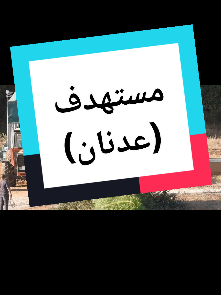 #creatorsearchinsights #hseifeddein🐎 #اسطبل_فرعون #المدرب_محمد_علي #سباقات_الخيل @m.aliracing @adnanalassad4 