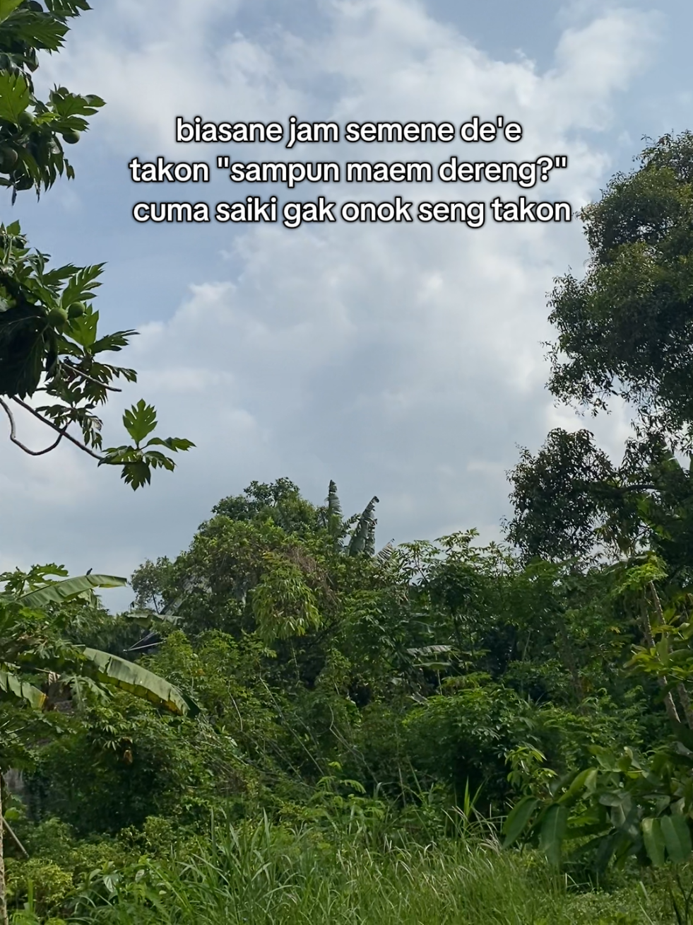 tapi aku tetep mangan timbang resiko🥺#jowostory #fyp 
