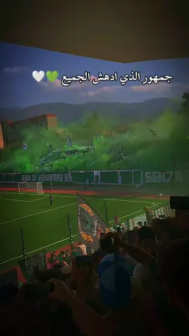 💚💚💚🤍🤍🤍